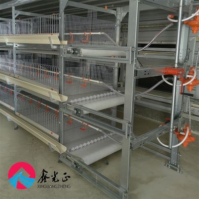 Prefab Steel Structure Chicken House with Sandwich Panel Roof