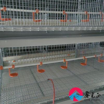 EPS Insulated Chicken Farm House with Aluminum Alloy Windows