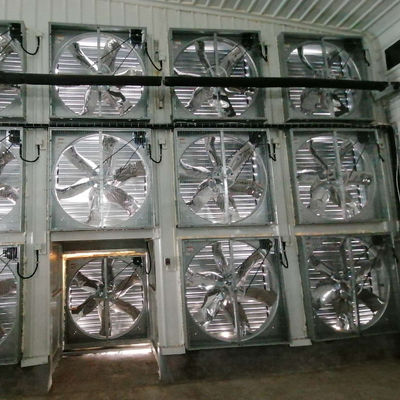 Steel Poultry House with Sliding Windows and Ventilation