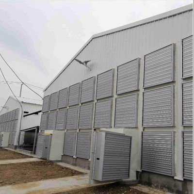 Steel Poultry House with Sliding Windows and Ventilation