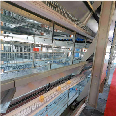 Steel Poultry House with Sliding Windows and Ventilation