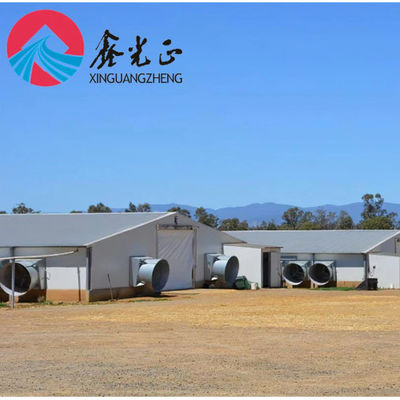 Prefabricated Livestock Farm House with H-Section Steel PVC Insulation and Rolling Door