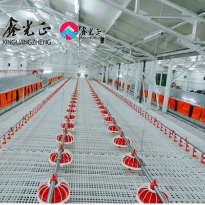 Prefabricated Livestock Farm House with H-Section Steel PVC Insulation and Rolling Door