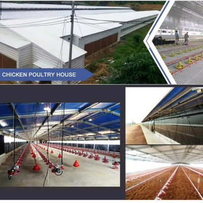 Prefabricated Livestock Farm House with H-Section Steel PVC Insulation and Rolling Door