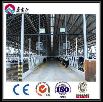 OEM Galvanized Steel Structure Building