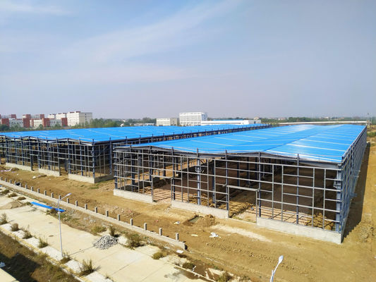 Professional Design Prefab Steel Structure Chicken Farm Equipment House