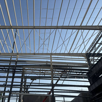 Residential Steel Prefabricated Houses Q355B Main Material Short Assembly Time for Fast Construction